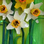 Egg Carton Daffodils | Little fingers