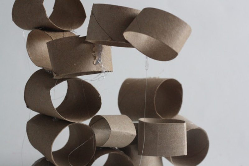 Paper Roll Ideas