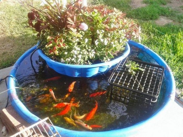 Diy in home aquaponics Urban Farming Uses Aquaponics To Make Farmland Where There Is None